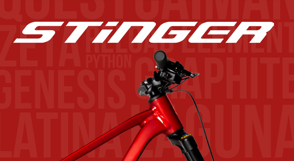 велосипеды стингер