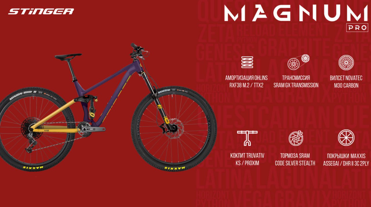 российский двухподвес STINGER