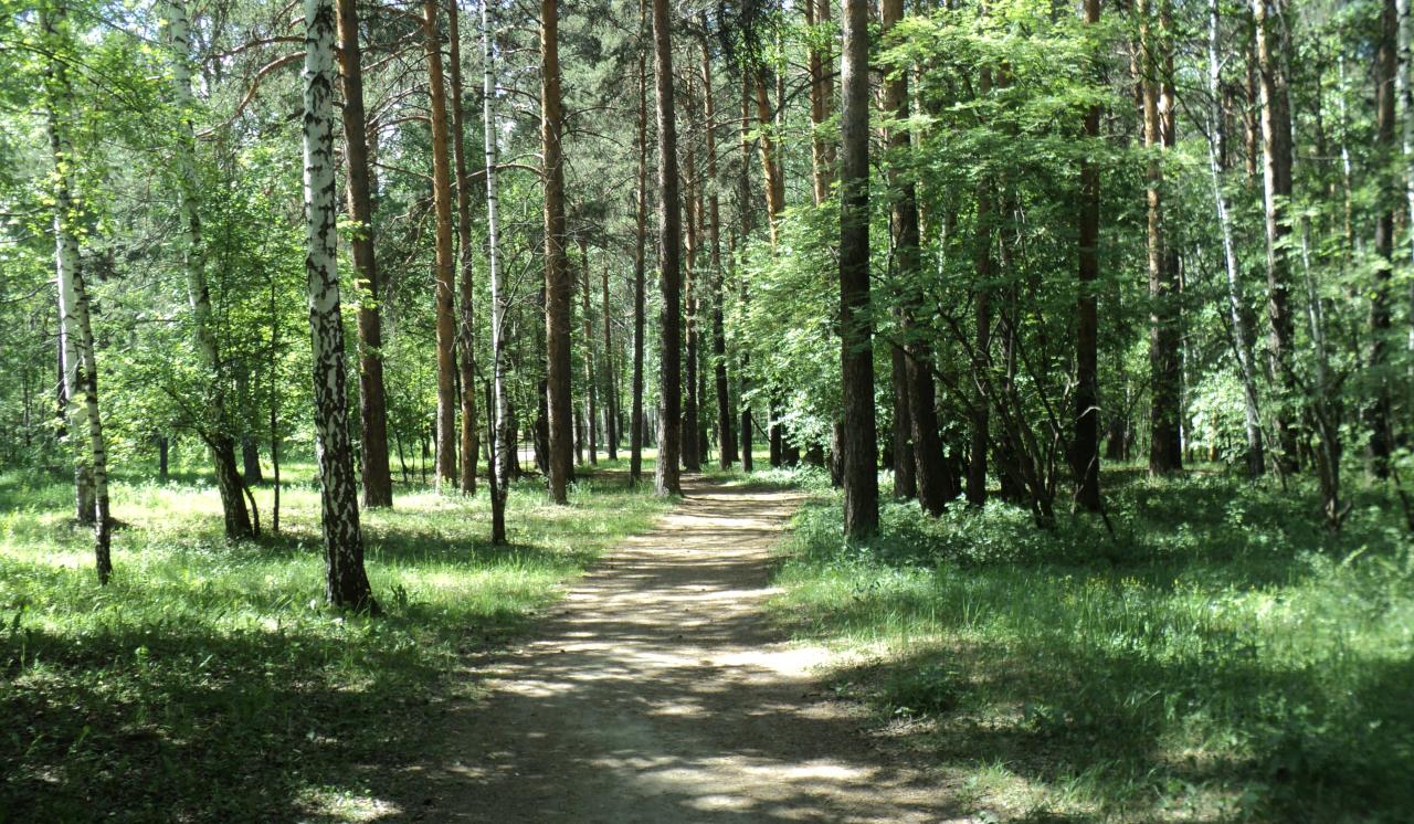 веломаршруты Екатеринбурга