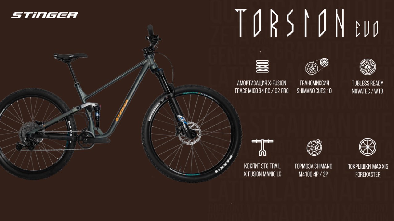 российский двухподвес STINGER