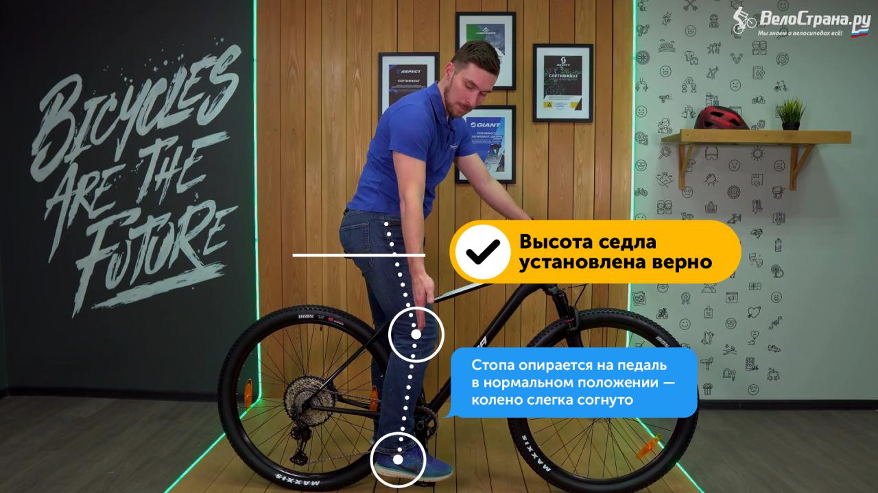 правильная посадка на велосипеде иллюстрация