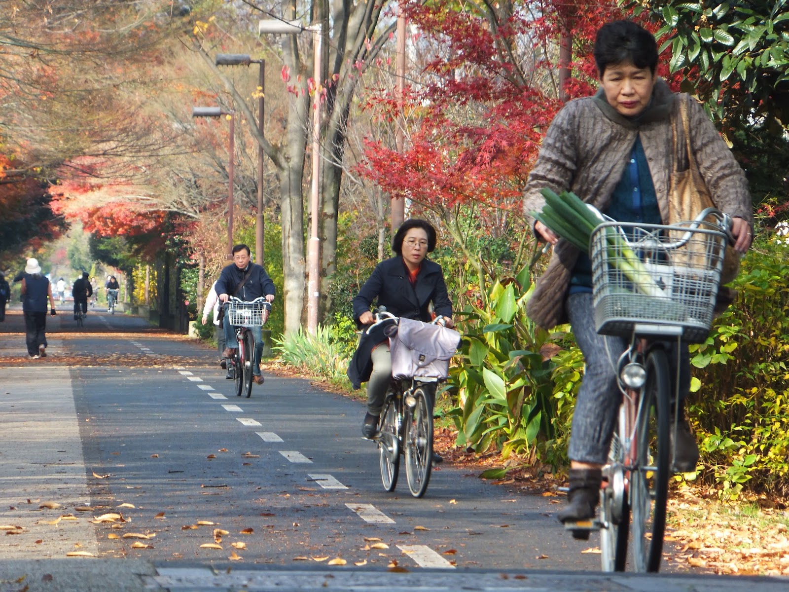 Велосипед 5 классе. Красивый велосипед яркий. Езда на велосипеде польза. Оборудование на велосипеде обж. Как вы думаете почему так популярен велосипед.