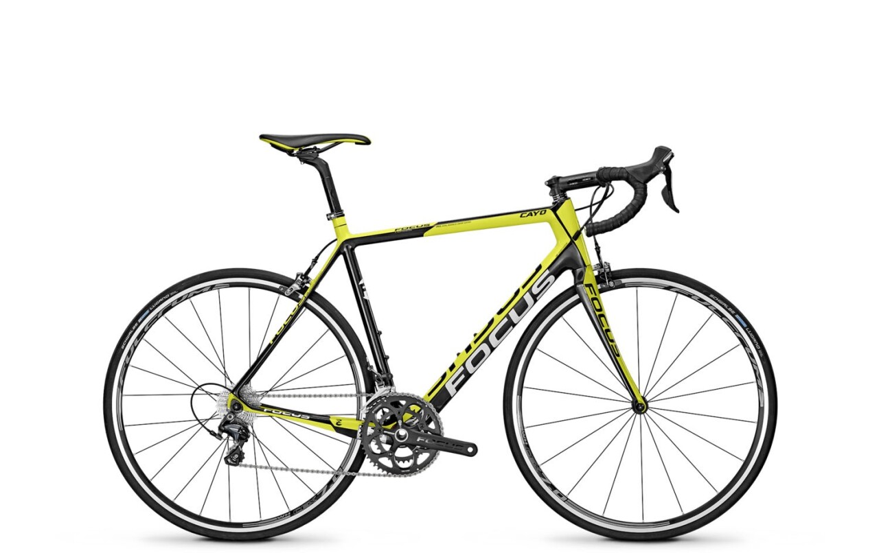 

CAYO EVO 3.0 (2014)