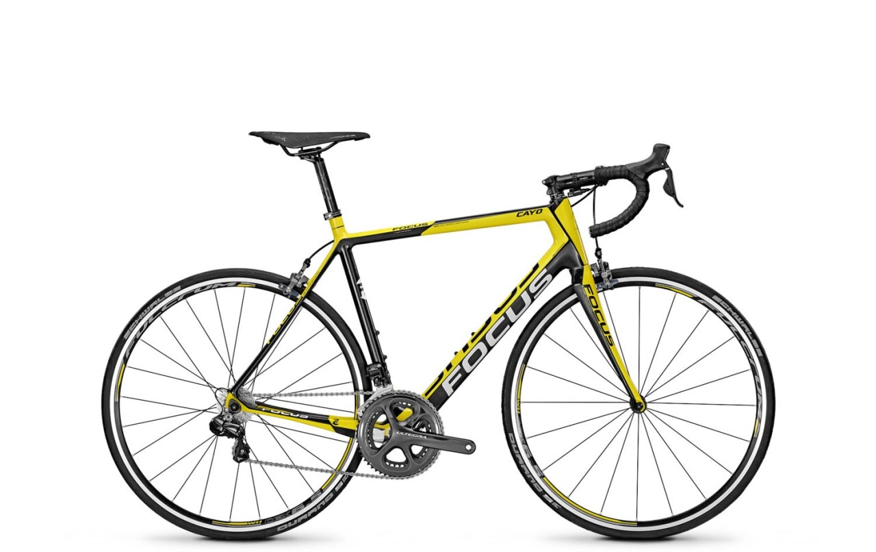 

CAYO EVO 1.0 (2014)