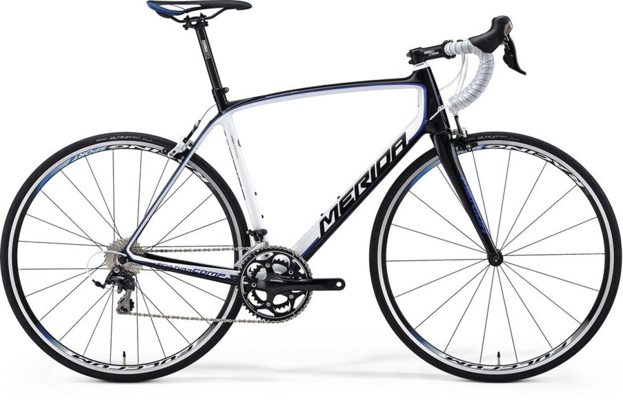 

Scultura CF 904 (2014)