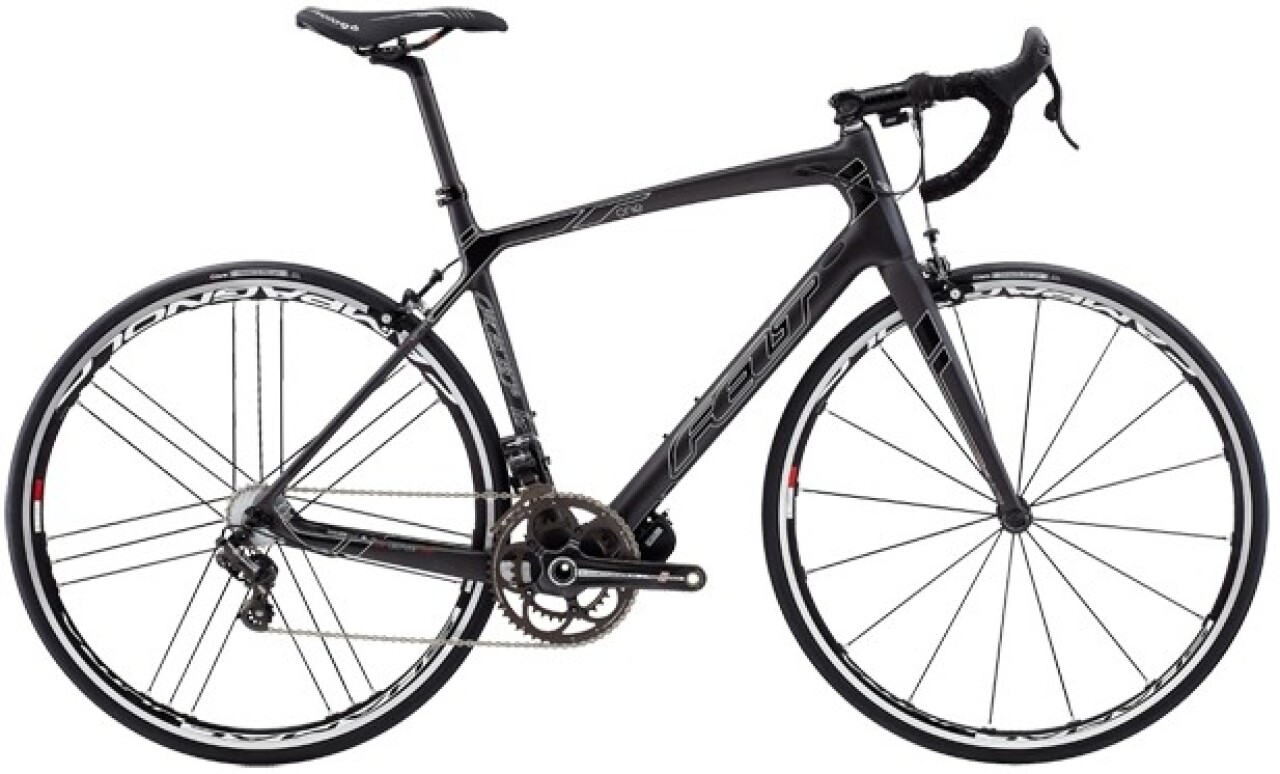 

FATE EXPERT CARBON 29 (2013)