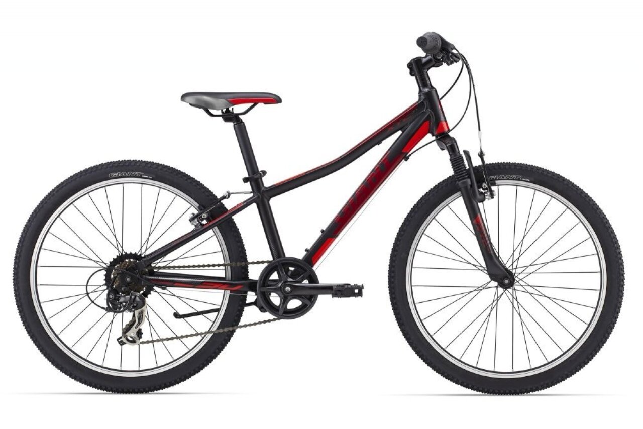 

XtC Jr 2 24 (2015)