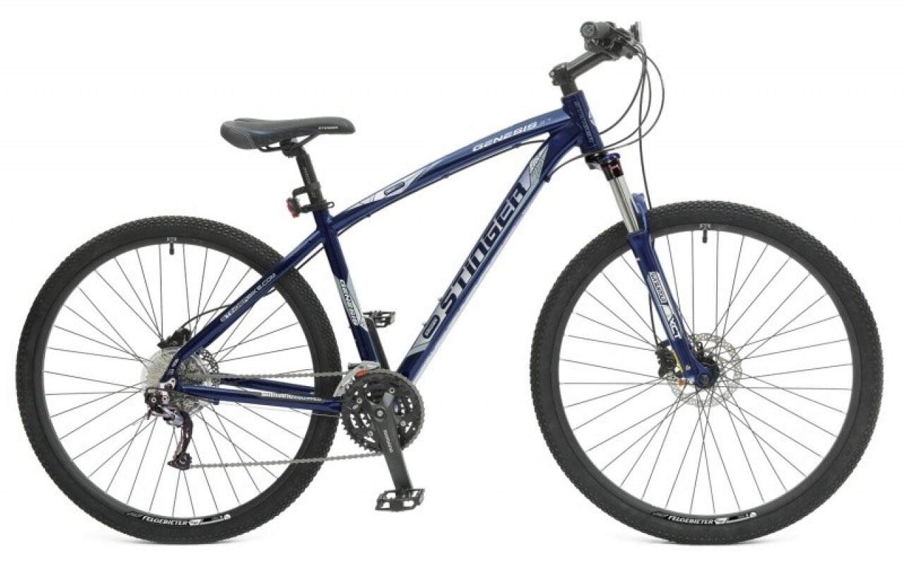 

Genesis 3.7 29 (2015)