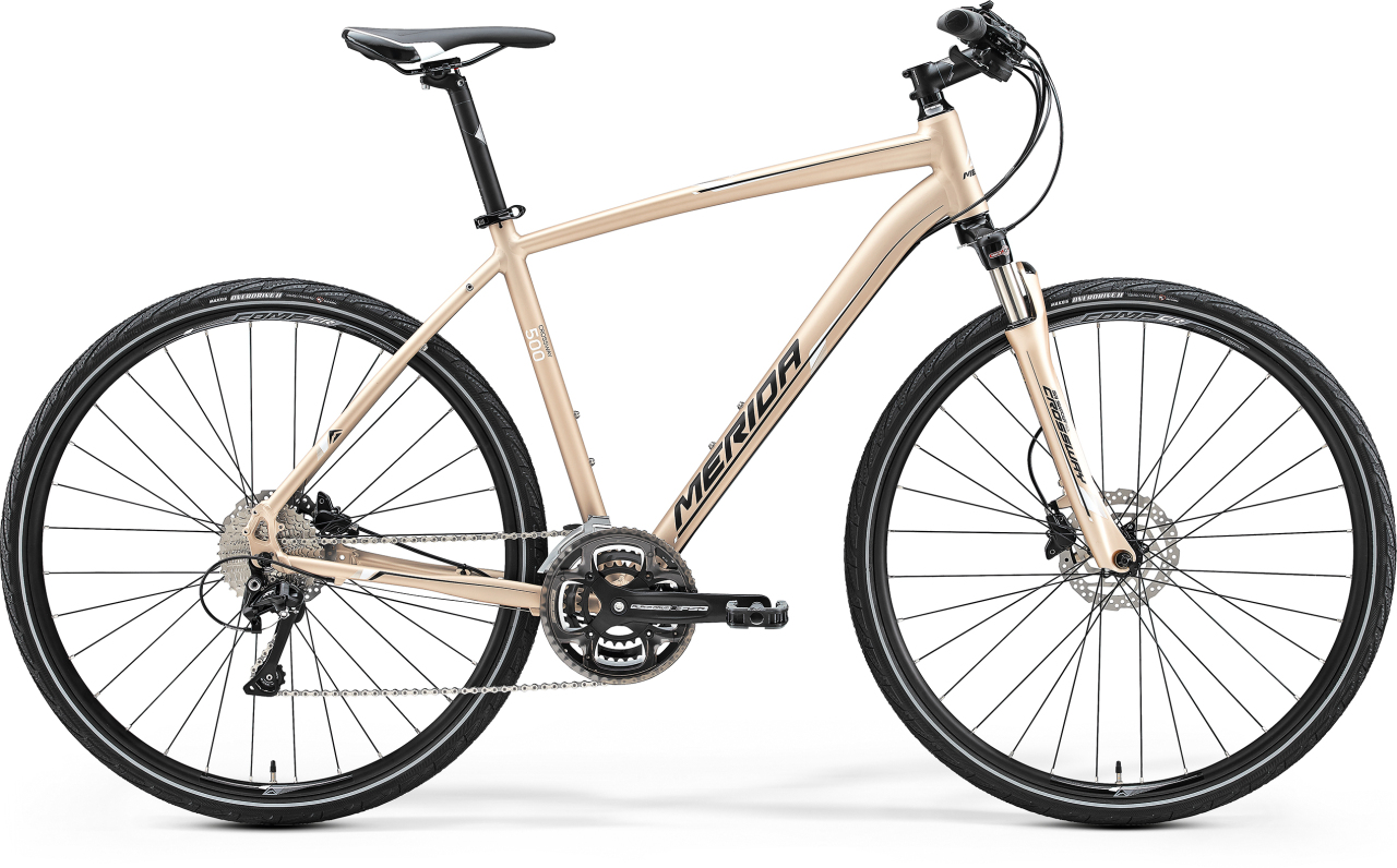 

Crossway 500 (2017)