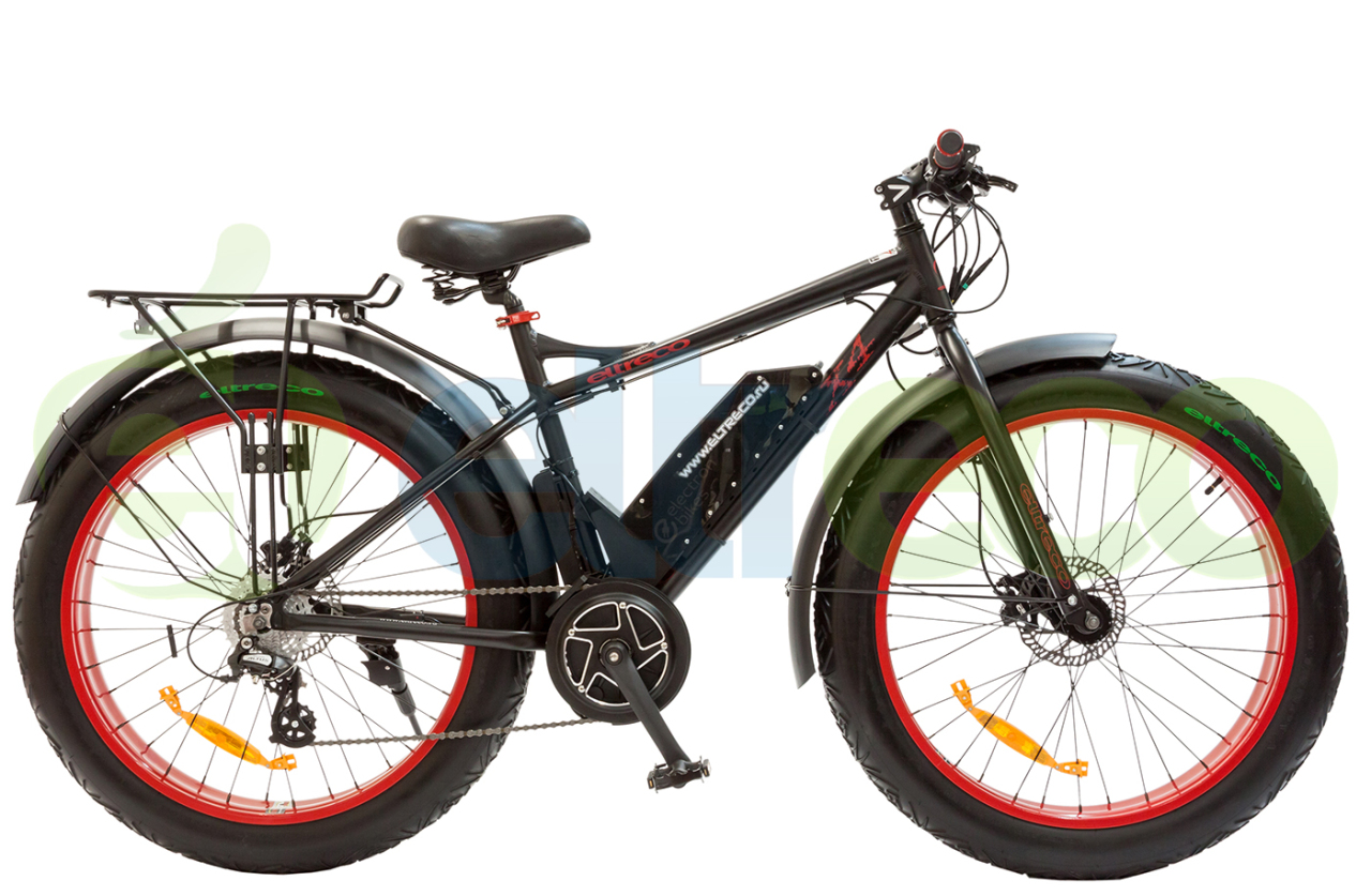 

X4 ELECTRON BIKES CENTER MOTOR (2017)
