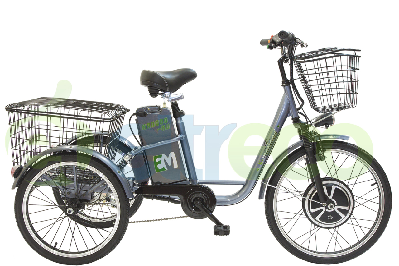 

E-MOTIONS KANGOO 700W LI-ON (2017)