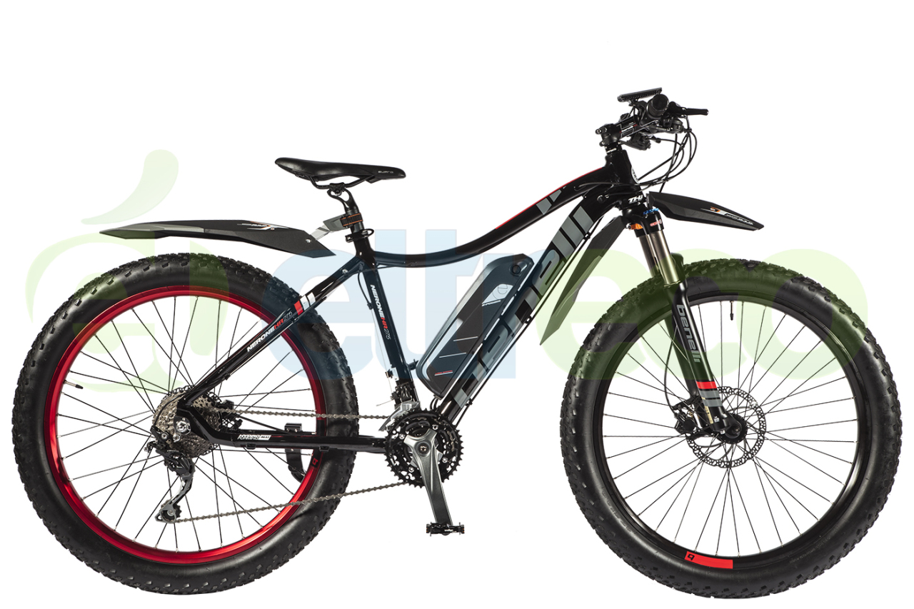 

BENELLI FAT NERONE (2017)