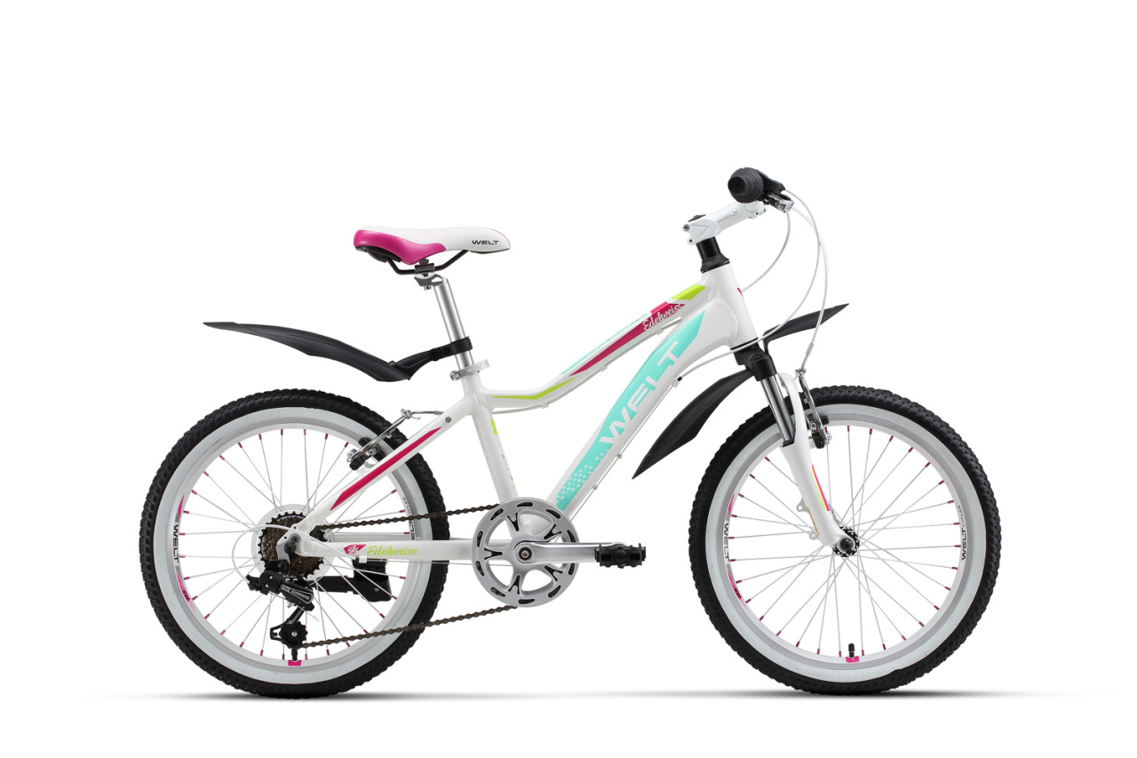 

Edelweiss 20 (2017)
