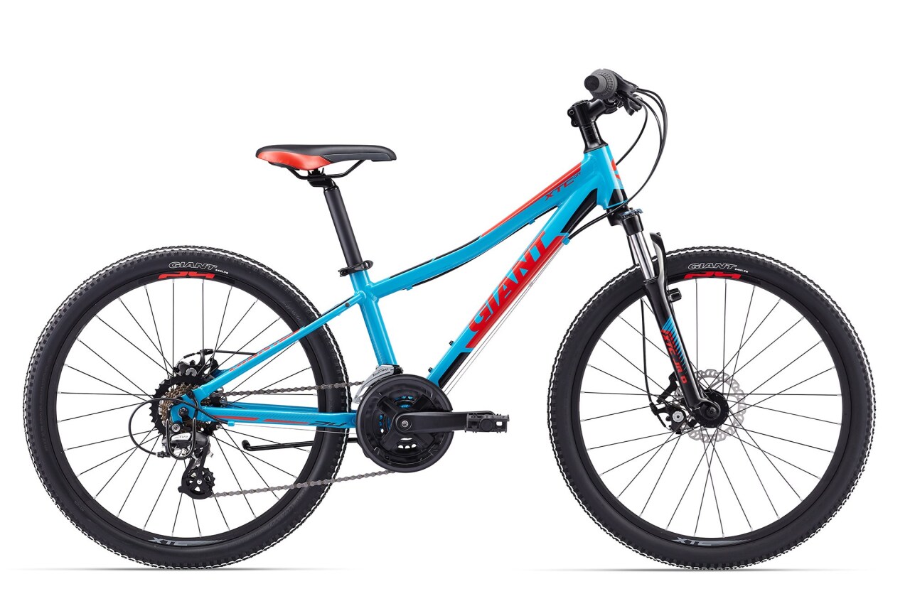 

XtC Jr 1 Disc 24 (2017)
