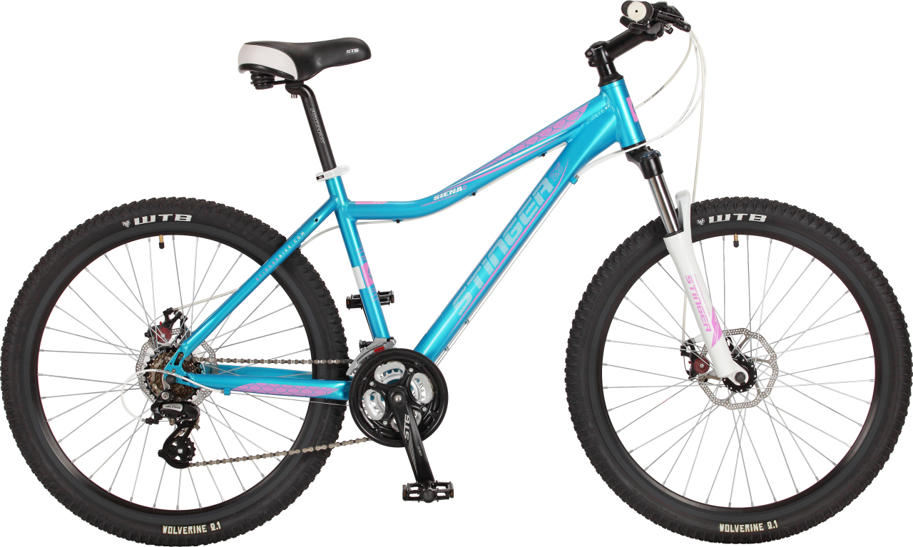 

Siena D 26" (2017)