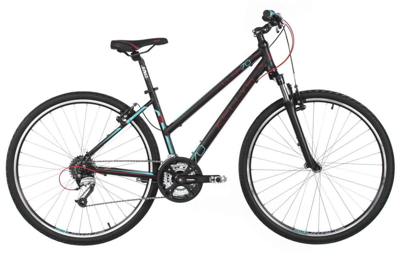 

CLEA 70 (2017)