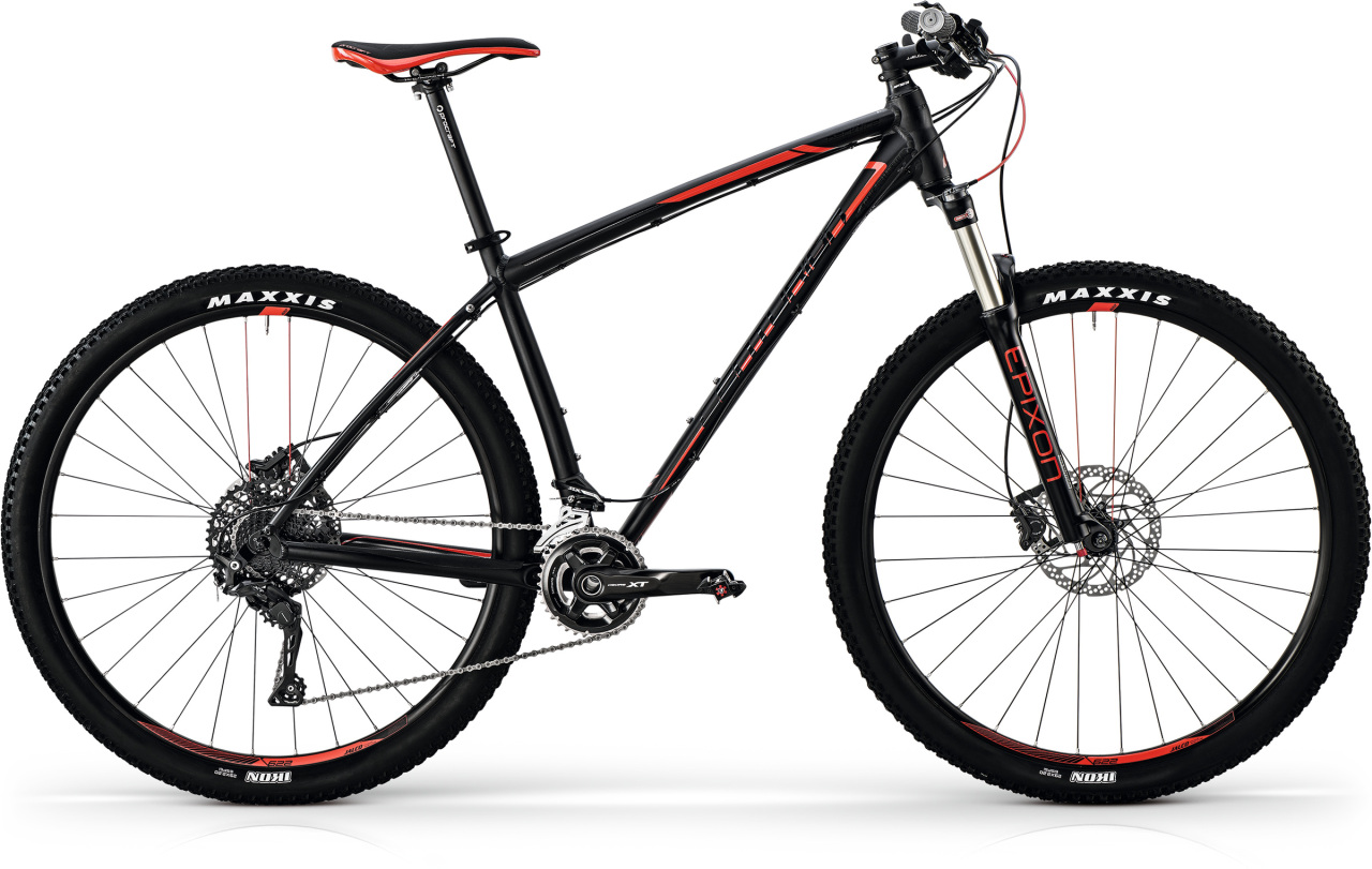 

Backfire Pro 800.29 (2017)