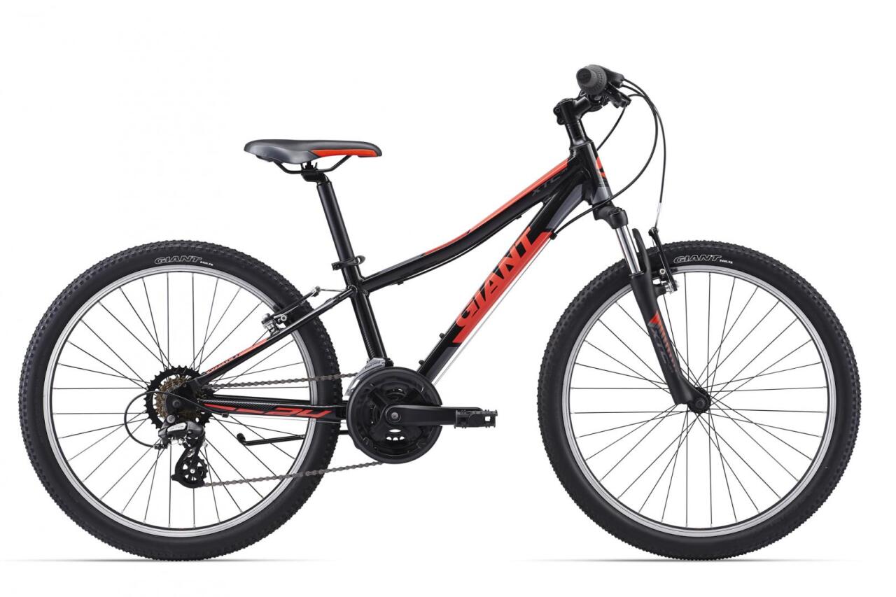 

XTC JR 1 24 (2017)