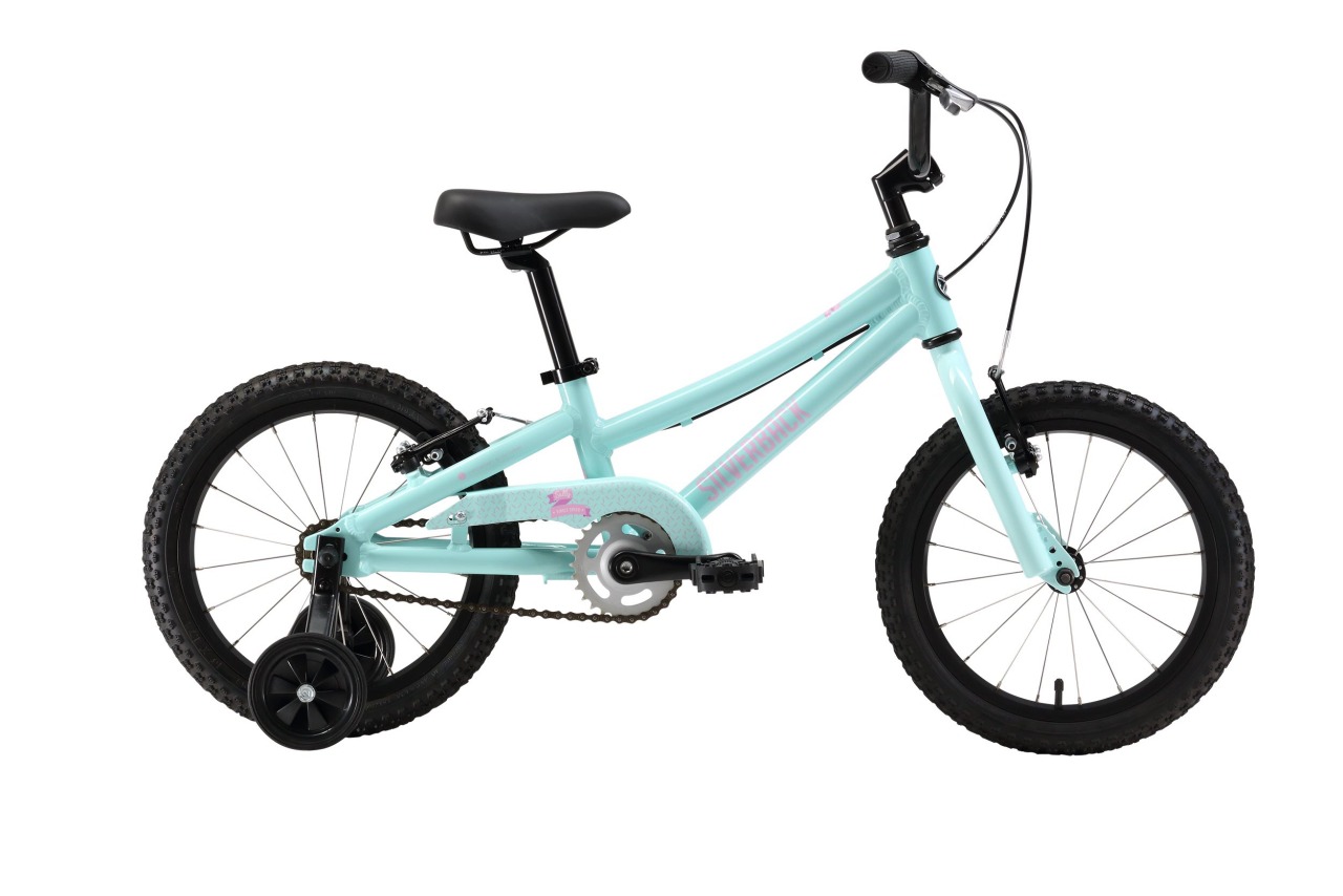 

Sally 4.6 SS (2017)