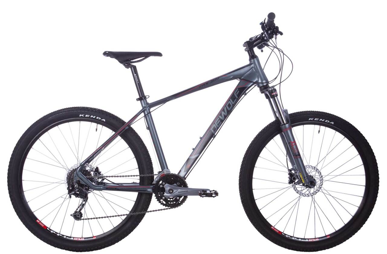 

TRX 300 (2018)