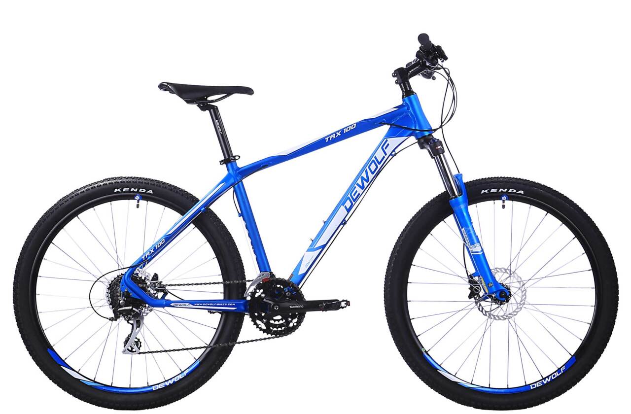 

TRX 100 (2018)