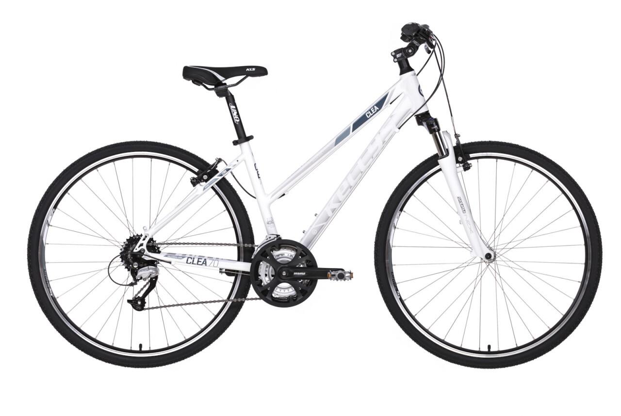 

CLEA 70 (2018)