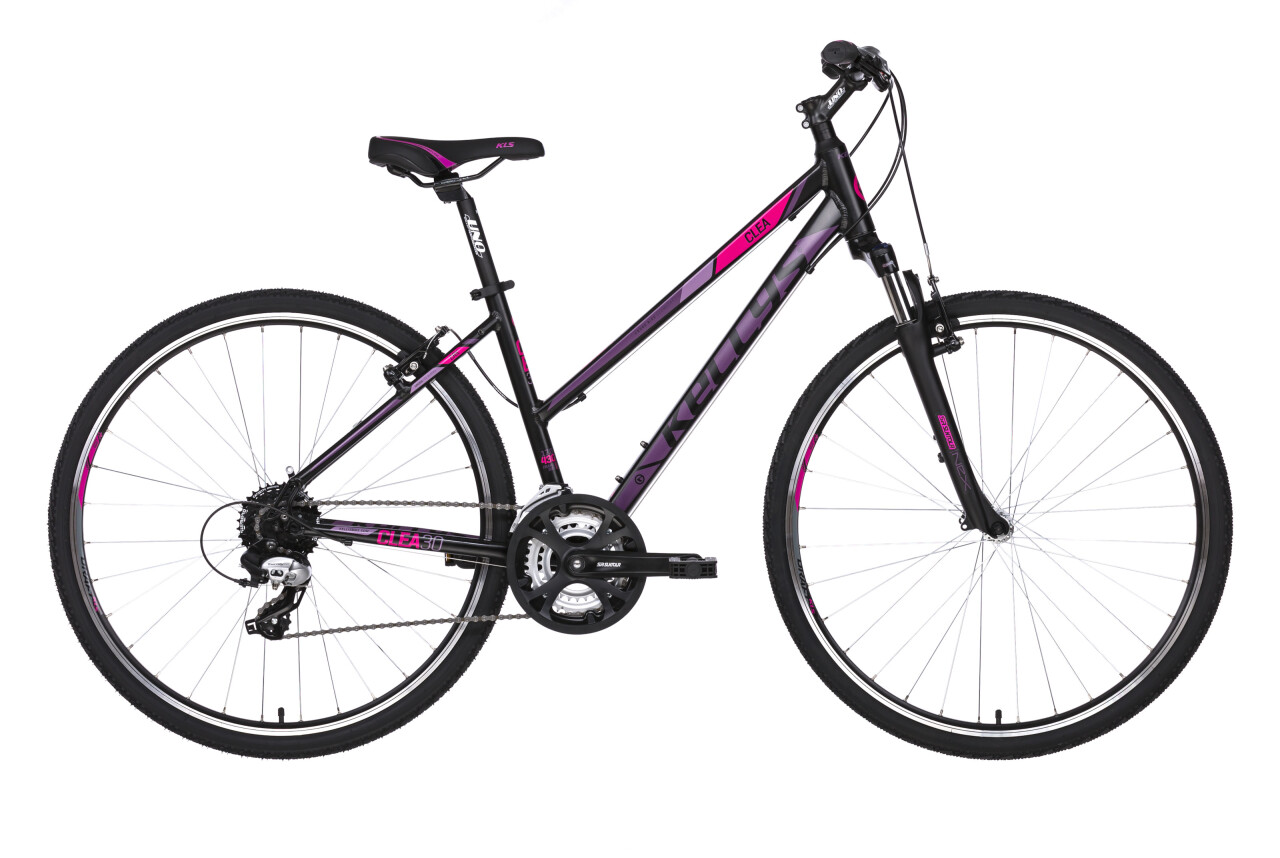 

CLEA 30 (2018)