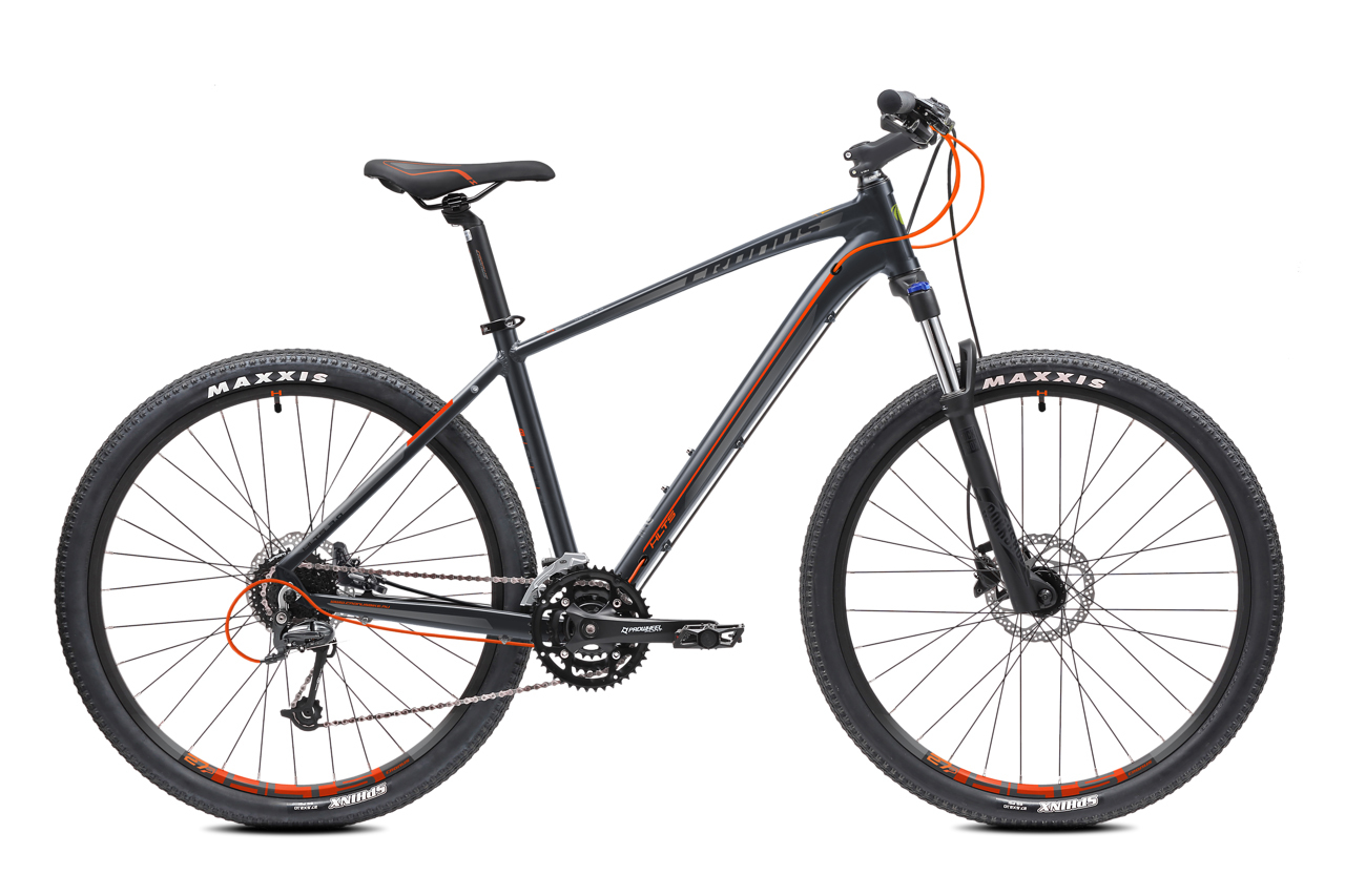 

Holts 5.0 27.5 (2018)