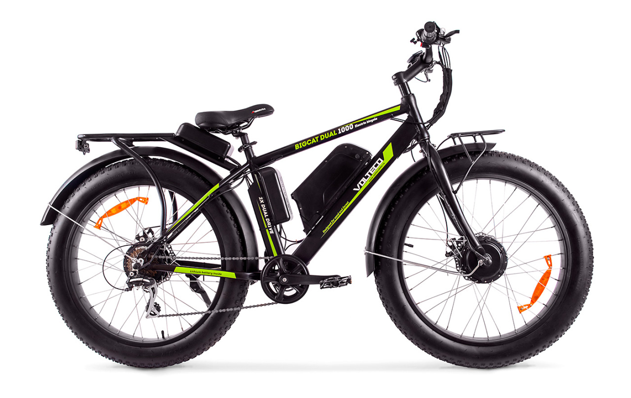 

Bigcat Dual 1000 (2019)