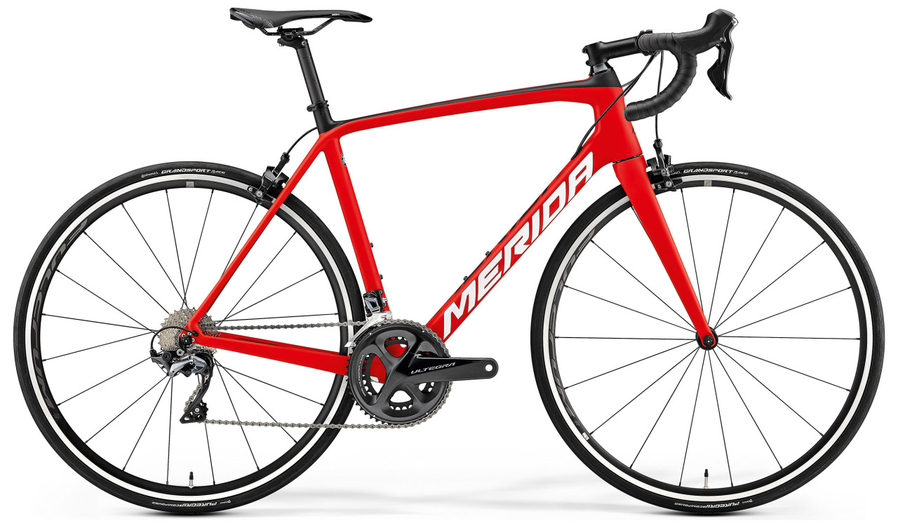 

Scultura 6000 (2019)