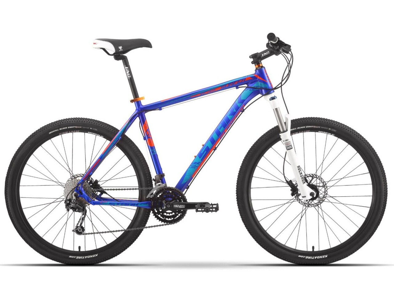 

Surfer Race 650B (2016)
