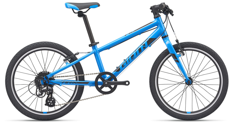Детский велосипед Giant ARX 20 (2021)