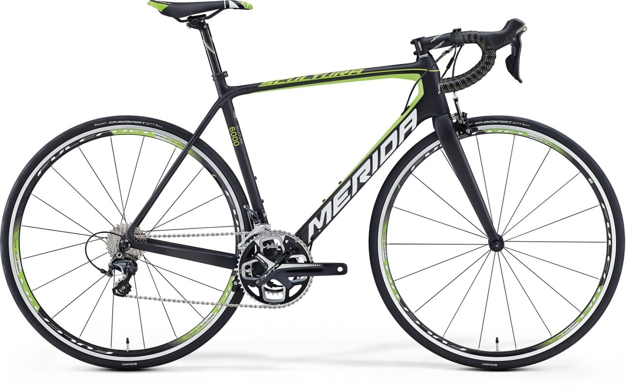 

Scultura 6000 (2016)