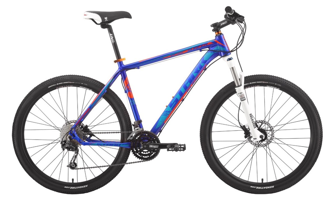 

Surfer Race 650B (2015)