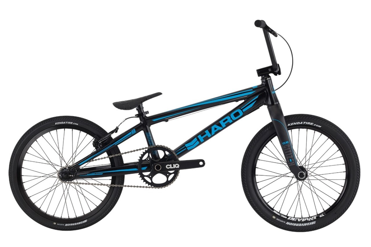 

Blackout XL (2016)